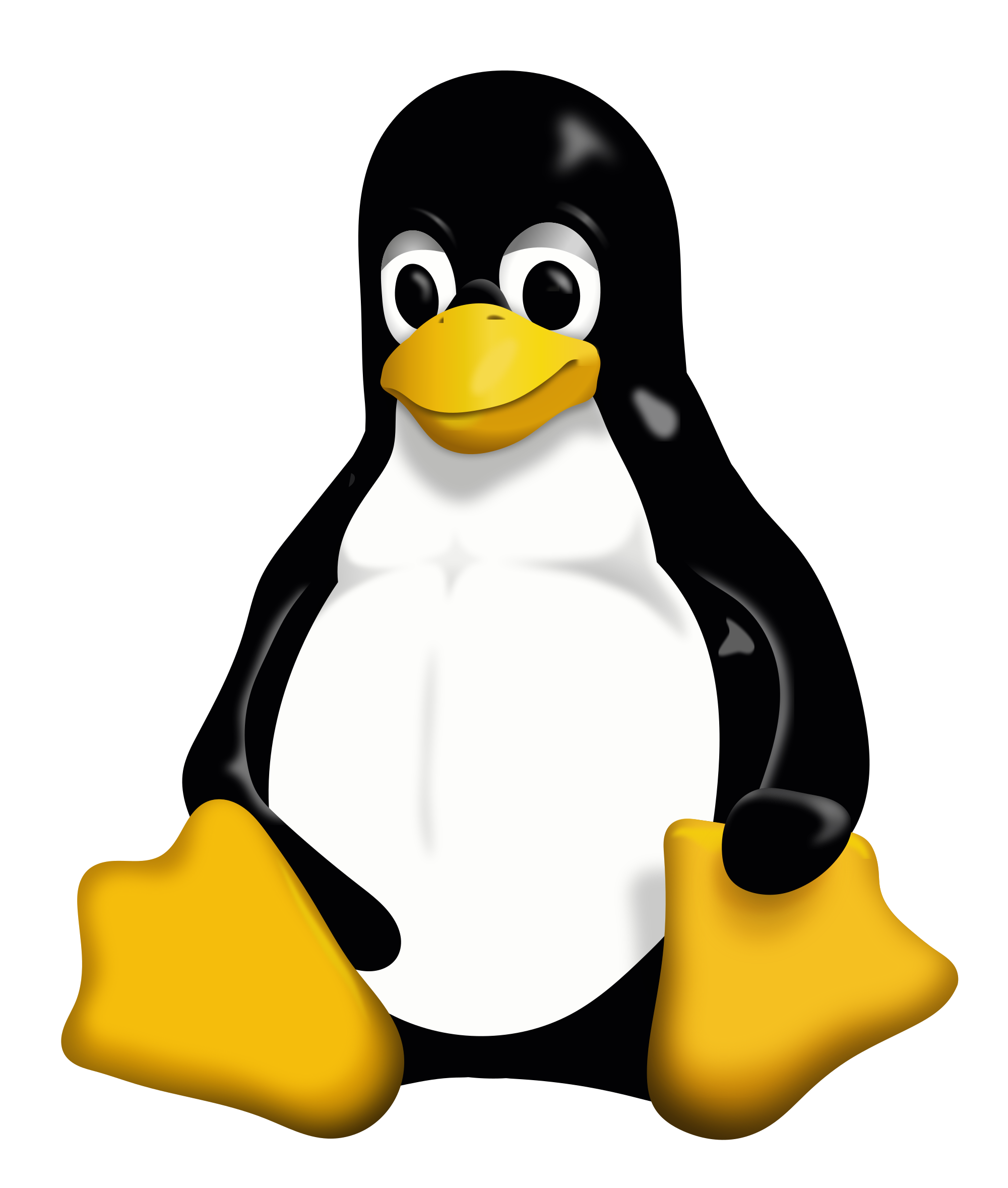 Linux Mint Xfce voor op Roadkill Computers